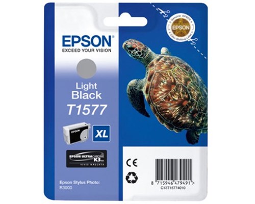 Epson Bläck Ljus Svart - Stylus Foto R3000