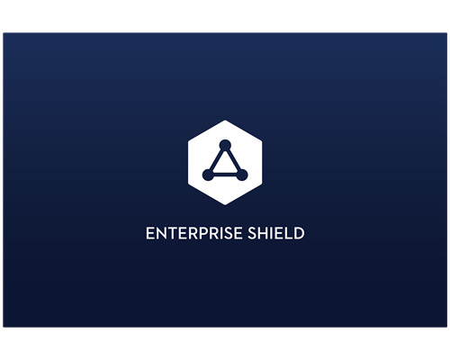 Dji Enterprise Shield - Mavic 2 Enterprise Zoom